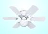 Decorative Ceiling Fans