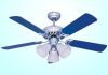 Decorative Ceiling Fan