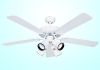 Decorative Ceiling Fan