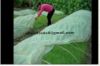PP Spunbond Nonwoven F...