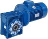 Worm gear speed reducer (gearbox)