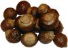 Soapnuts, Wash nuts