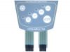 Membrane switch