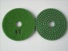 Polishing Pads