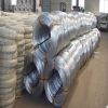 Galvanized Wire / Black Wire / Binding Wire