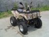 FLZ250 ATV &#65288...