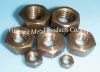 Silicon bronze hex nut...