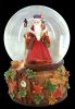 snow globe