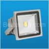 LED Flood Light