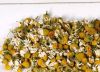 chamomile flower