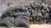 Scrap tyres for Sale i...
