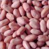 Groundnut kernels