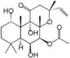 FORSKOLIN ( PURE)-98%