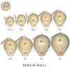 Display Shell