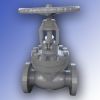 Globe Valve