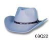 cowboy hat, felt hat, ...
