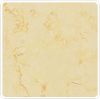 GOLDEN CREME FLOWER, A...