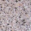 Marble aggregate for c...