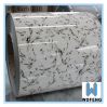 Marble Grain PPGI