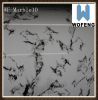 Marble Grain PPGI