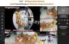 2.0MP 360degree Fisheye Panoramic IP Camera with Correcting Software