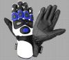 Motorcycle Glove