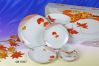 Porcelain 20 Peaces Dinner Set