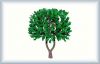 model tree