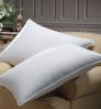 down poly pillow cushion