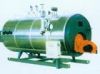 Fuel (gas) steam boiler