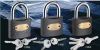 Plastic painted iron p...