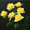Fresh Cut Flower---Yel...