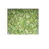 Moringa Oliefera Dried...