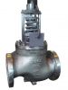 self operated valve, globe valve, valve