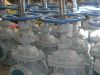 gate valve