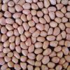 Groundnuts/peanuts ker...