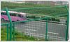 Fencing Wire Mesh