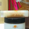 Special Attention Cream, Bio Cream, Facial Products