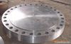 Blind flange