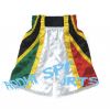 Custom Design 100% Polyester Fabric Muay Thai Shorts