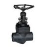 Female threaded and socket welded globe valves