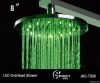 8" Brass LED rain...