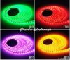 LED Strip light 5050-12V-60LED red 5m/reel