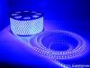 Waterproof Led Strip light 5050-220V-60LED blue