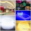 Flexible Led Strip Lighting Smd 3528/5050 Waterproof IP65