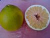 Crystal Honey Pomelo