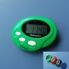 Pedometer