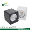 High Brightness Square Surface Mounted 4inch 25W 40W LED Down Light