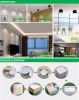 Hotel Shopping Mall High Quality 10W 2.5 Inch LED Surface Mounted Downlight