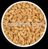 Milling Wheat Grade 1,2,3
